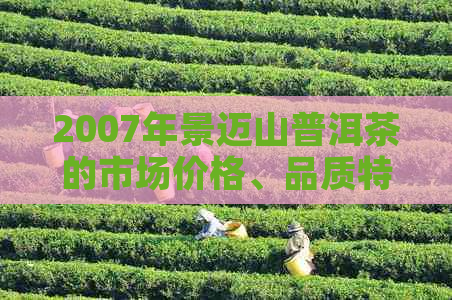 2007年景迈山普洱茶的市场价格、品质特点及收藏价值全面解析