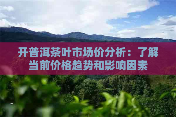 开普洱茶叶市场价分析：了解当前价格趋势和影响因素