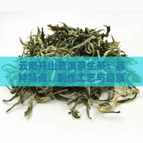 云南开山普洱茶生茶：品种特点、制作工艺与品质鉴的全面指南