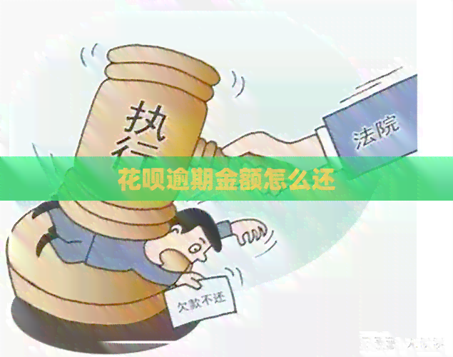 花呗逾期金额怎么还