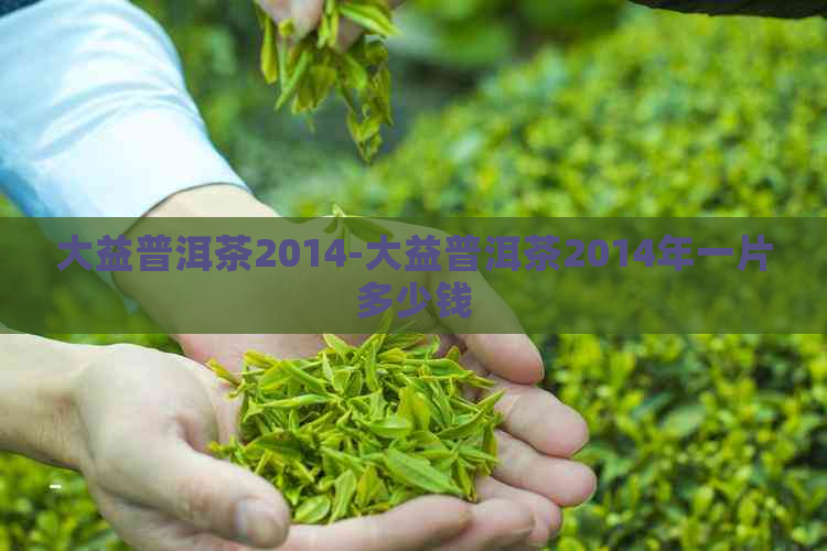 大益普洱茶2014-大益普洱茶2014年一片多少钱