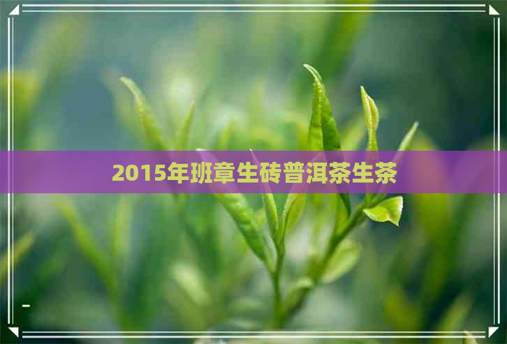 2015年班章生砖普洱茶生茶