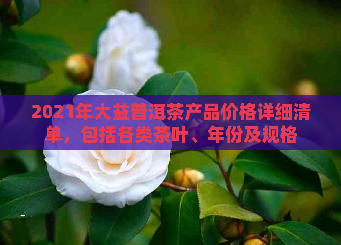 2021年大益普洱茶产品价格详细清单，包括各类茶叶、年份及规格