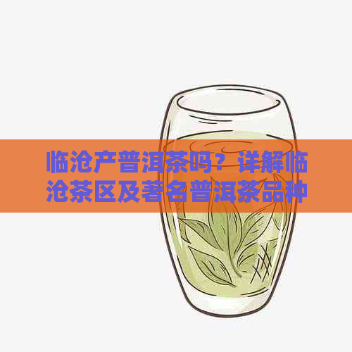 临沧产普洱茶吗？详解临沧茶区及著名普洱茶品种