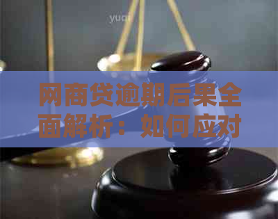 网商贷逾期后果全面解析：如何应对、期还款及影响信用等详细解答