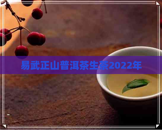 易武正山普洱茶生茶2022年