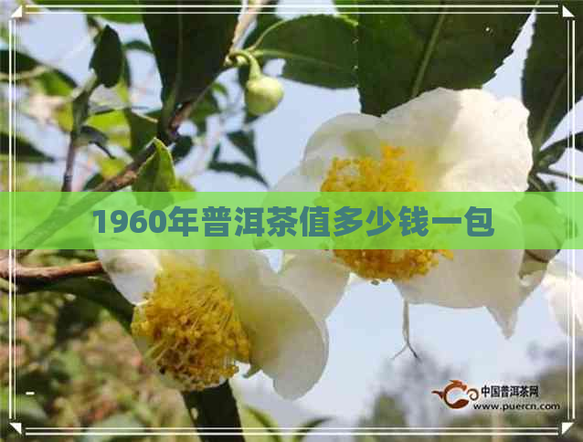 1960年普洱茶值多少钱一包