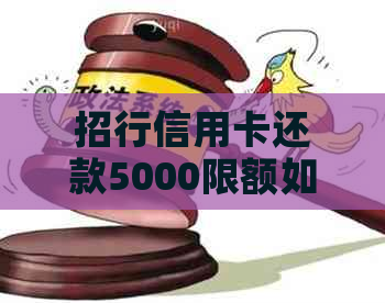 招行信用卡还款5000限额如何解决？