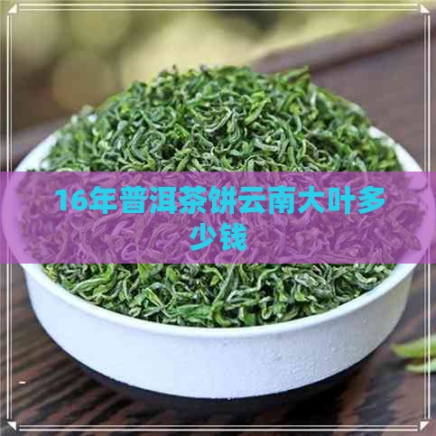 16年普洱茶饼云南大叶多少钱