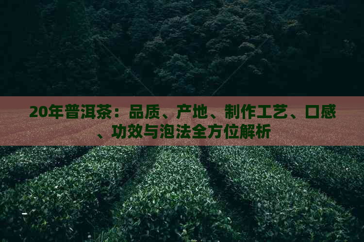 20年普洱茶：品质、产地、制作工艺、口感、功效与泡法全方位解析