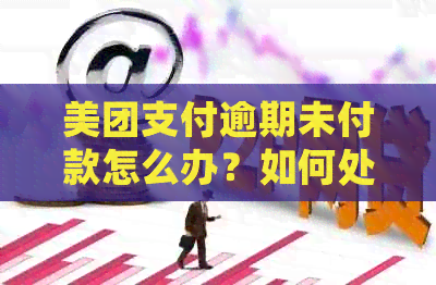 美团支付逾期未付款怎么办？如何处理美团欠款逾期问题及解决办法。