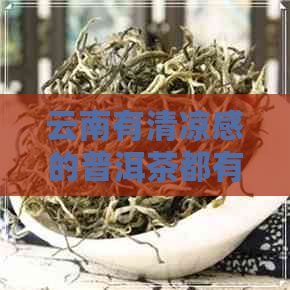 云南有清凉感的普洱茶都有哪些