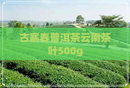 古寨春普洱茶云南茶叶500g