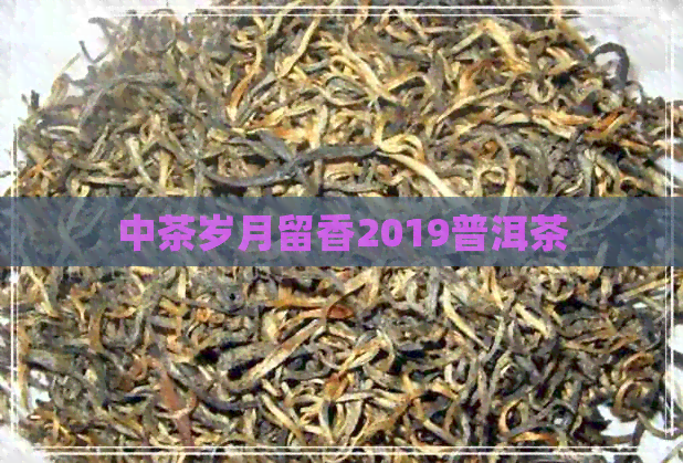 中茶岁月留香2019普洱茶