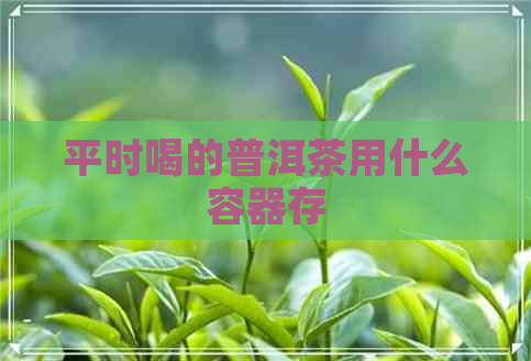 平时喝的普洱茶用什么容器存