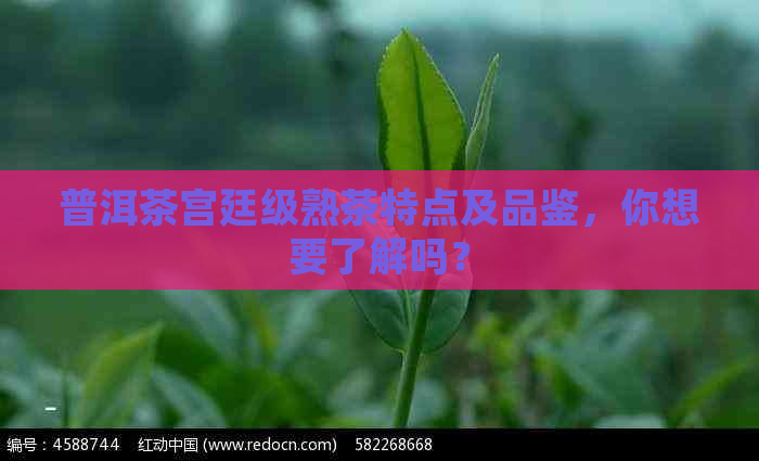 普洱茶宫廷级熟茶特点及品鉴，你想要了解吗？