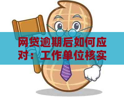 网贷逾期后如何应对：工作单位核实流程详解及可能面临的问题