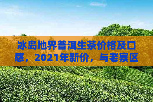 冰岛地界普洱生茶价格及口感，2021年新价，与老寨区别解析。