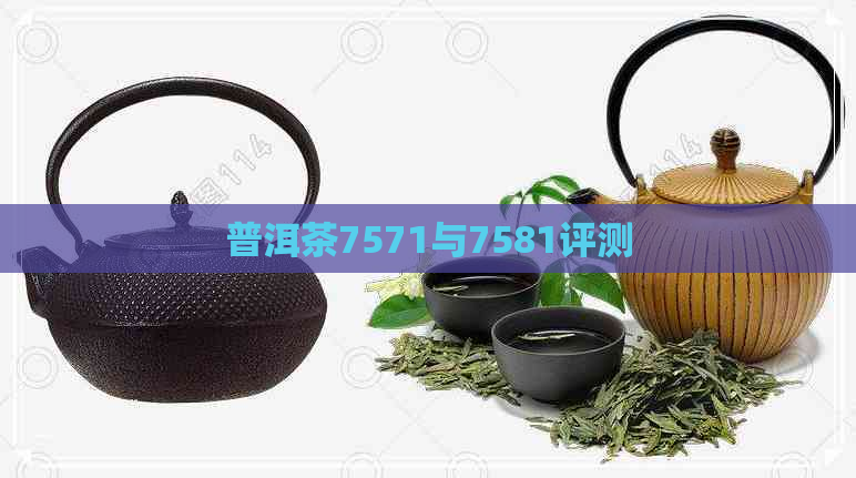 普洱茶7571与7581评测