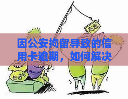 因公安拘留导致的信用卡逾期，如何解决？有什么应对措？