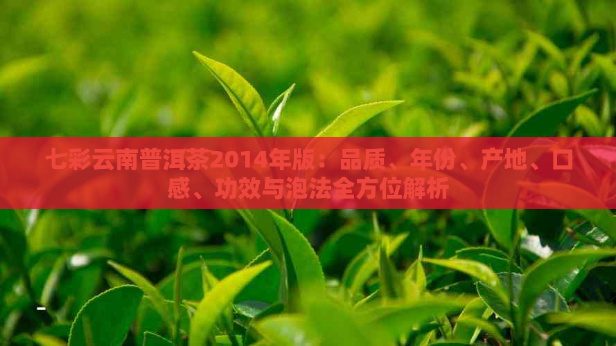 七彩云南普洱茶2014年版：品质、年份、产地、口感、功效与泡法全方位解析