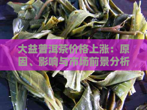 大益普洱茶价格上涨：原因、影响与市场前景分析