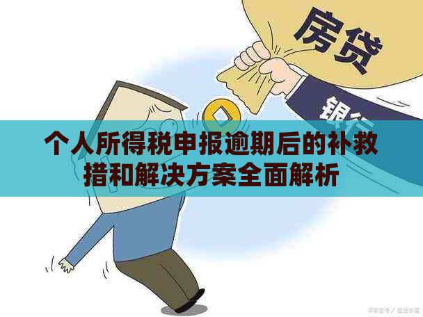 个人所得税申报逾期后的补救措和解决方案全面解析