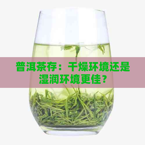 普洱茶存：干燥环境还是湿润环境更佳？