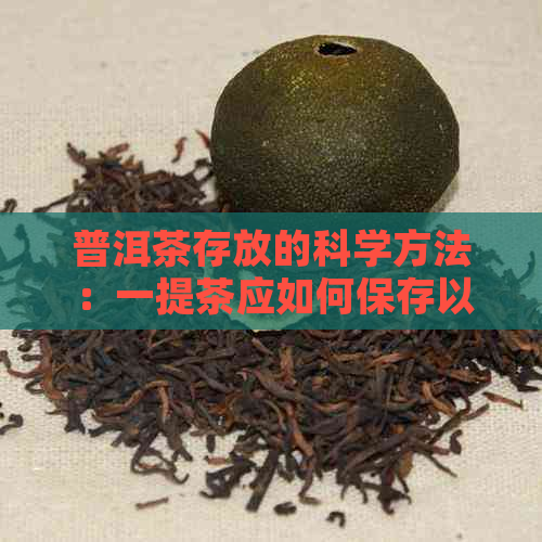 普洱茶存放的科学方法：一提茶应如何保存以保持其品质？