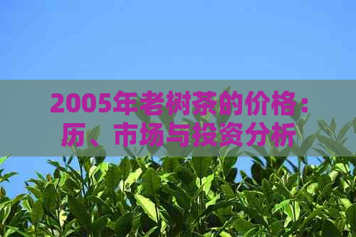 2005年老树茶的价格：历、市场与投资分析