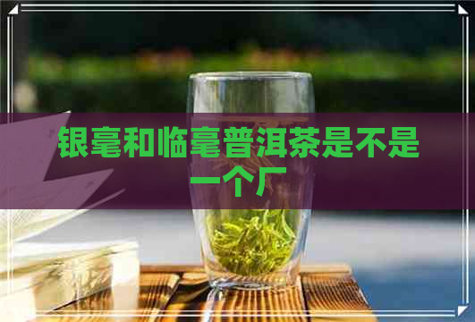 银毫和临毫普洱茶是不是一个厂