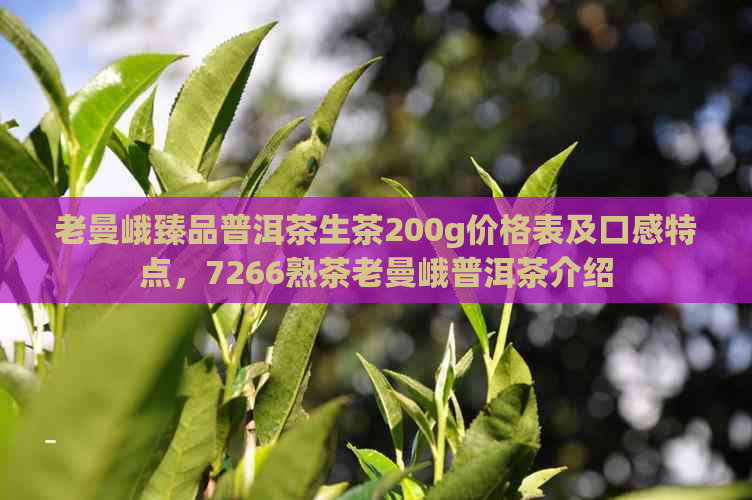 老曼峨臻品普洱茶生茶200g价格表及口感特点，7266熟茶老曼峨普洱茶介绍