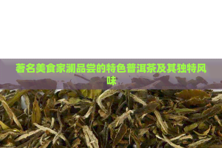 著名美食家澜品尝的特色普洱茶及其独特风味