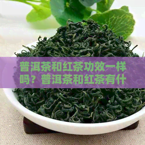 普洱茶和红茶功效一样吗？普洱茶和红茶有什么区别？