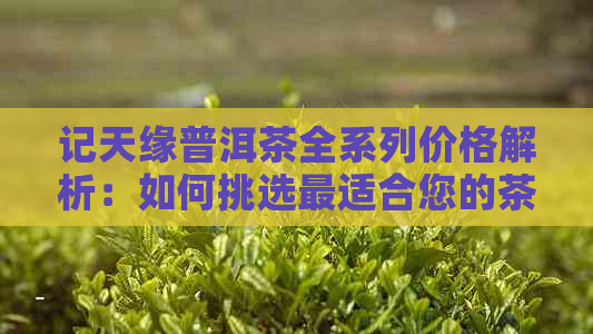 记天缘普洱茶全系列价格解析：如何挑选最适合您的茶叶？