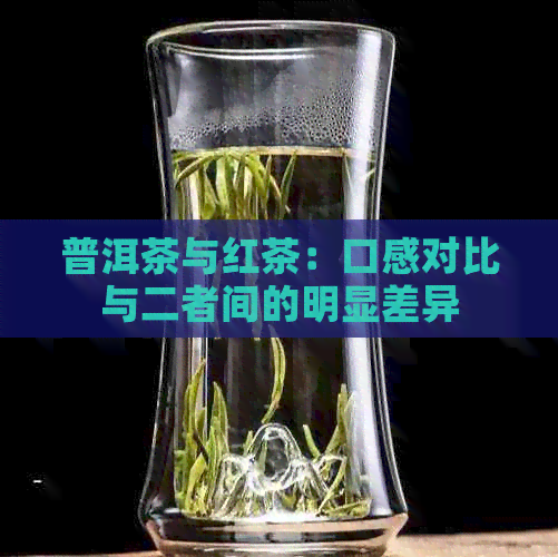 普洱茶与红茶：口感对比与二者间的明显差异