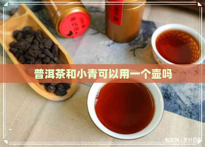 普洱茶和小青可以用一个壶吗