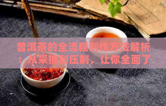 普洱茶的全流程制作方法解析：从采摘到压制，让你全面了解普洱茶的诞生过程