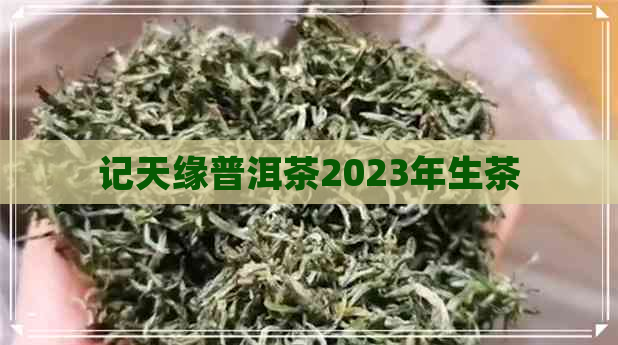 记天缘普洱茶2023年生茶