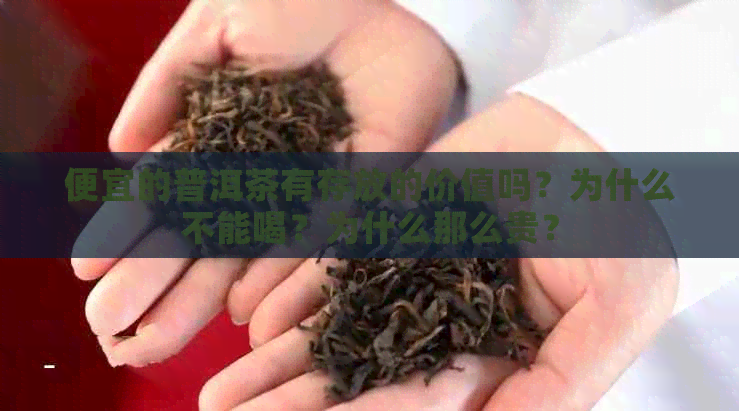 便宜的普洱茶有存放的价值吗？为什么不能喝？为什么那么贵？