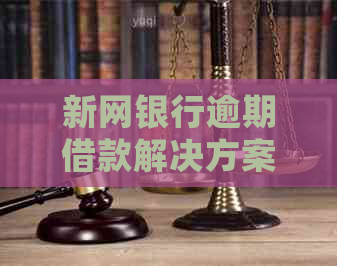 新网银行逾期借款解决方案：如何处理、恢复信用及预防措全解析