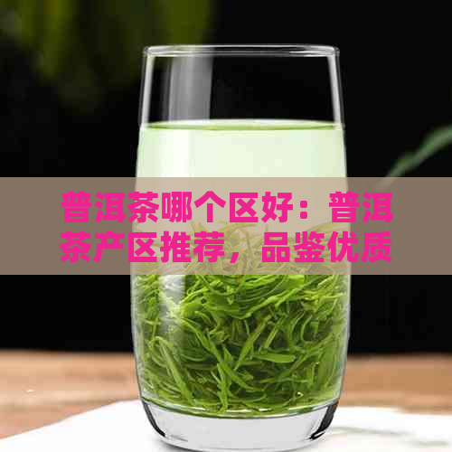 普洱茶哪个区好：普洱茶产区推荐，品鉴优质茶叶