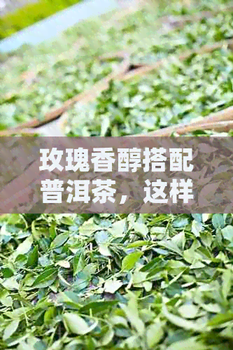 玫瑰香醇搭配普洱茶，这样做出的红糖玫瑰普洱茶更美味