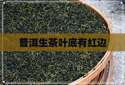 普洱生茶叶底有红边