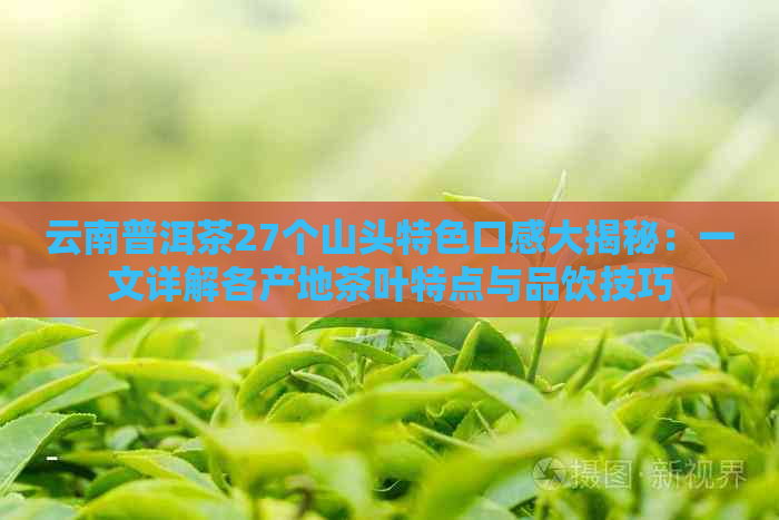 云南普洱茶27个山头特色口感大揭秘：一文详解各产地茶叶特点与品饮技巧