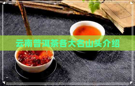 云南普洱茶各大名山头介绍