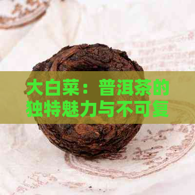 大白菜：普洱茶的独特魅力与不可复制性解析