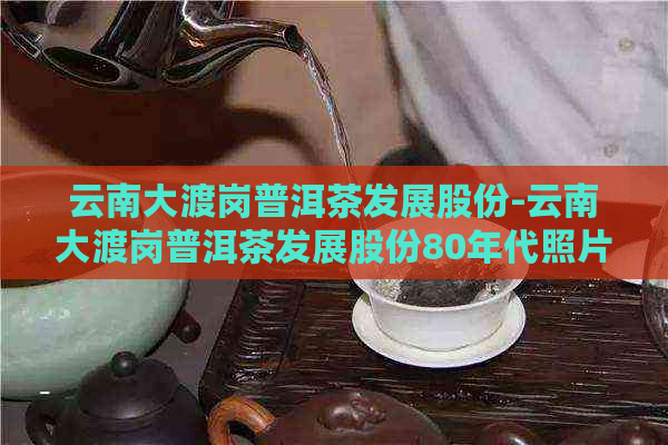 云南大渡岗普洱茶发展股份-云南大渡岗普洱茶发展股份80年代照片