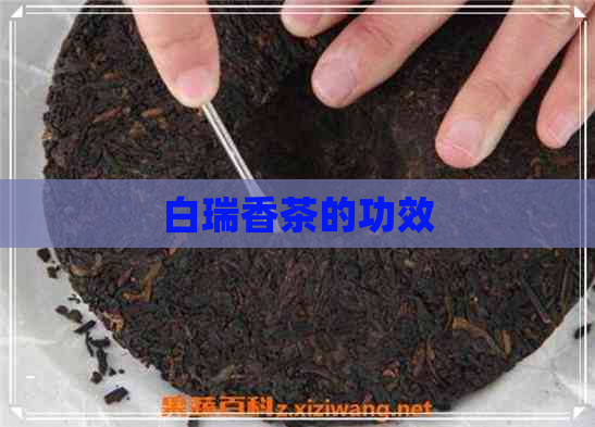 白瑞香茶的功效