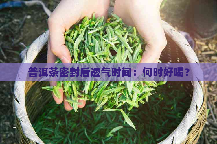 普洱茶密封后透气时间：何时好喝？